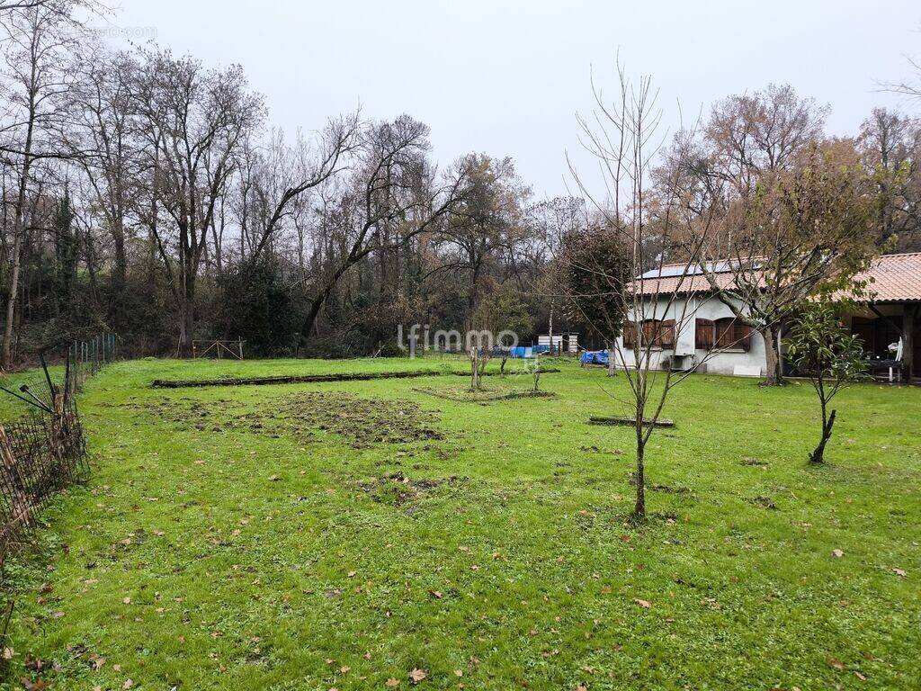 Maison à AMBARES-ET-LAGRAVE