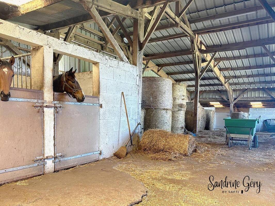 Photo 1 - Maison à ARMAILLE