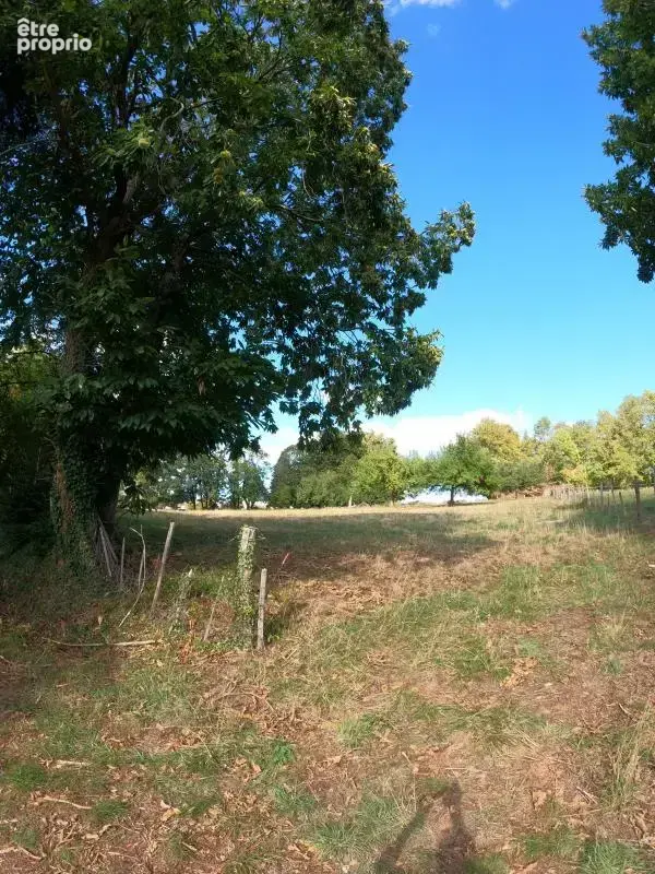 Maison 6 pièces 180 m² à vendre à Cieux (87520) - photo 2