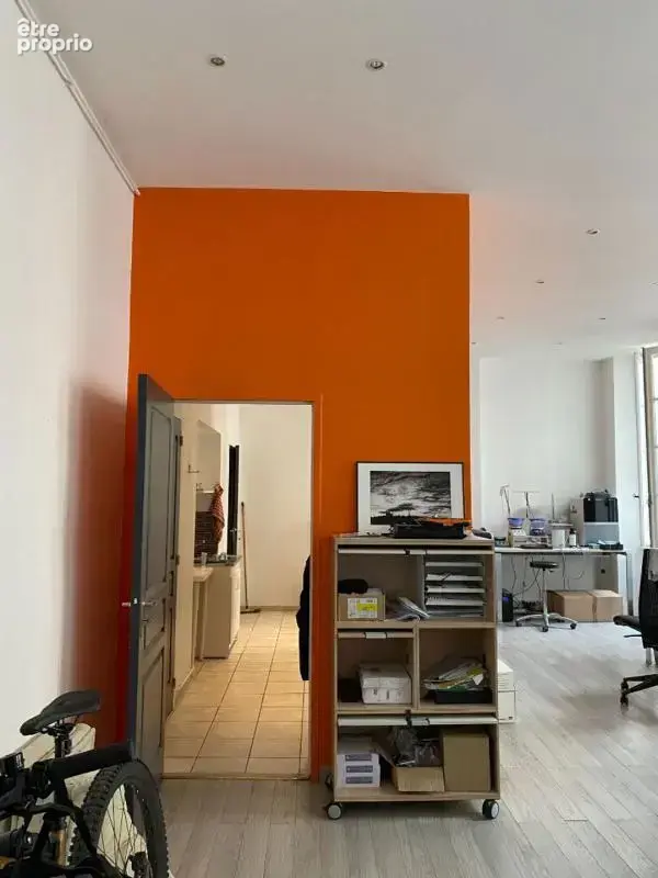 Appartement Lyon 50 m2 - photo 2