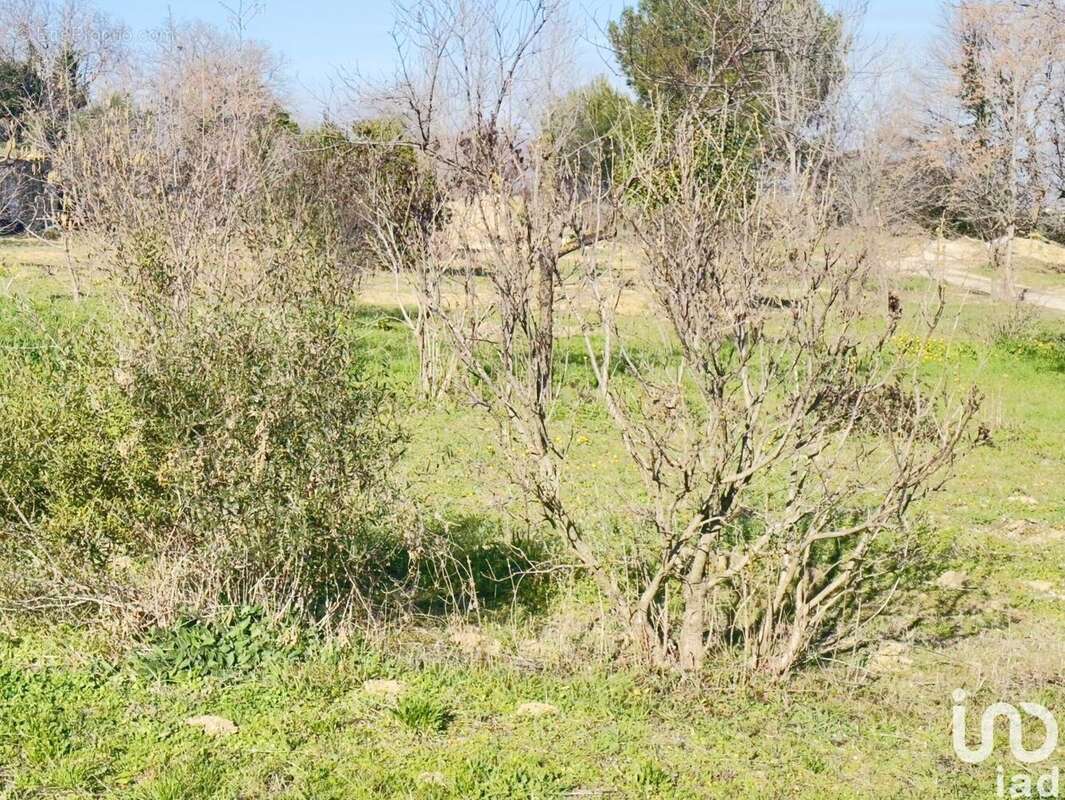 Photo 3 - Terrain à SAINT-ALEXANDRE