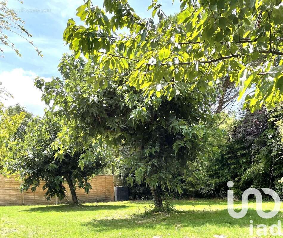 Photo 4 - Maison à LA CHAPELLE-SUR-ERDRE