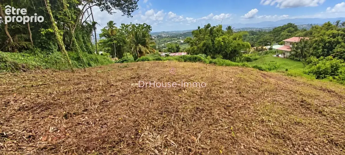 Terrain 2 500 m² à vendre à Le Lamentin (97232) - photo 3