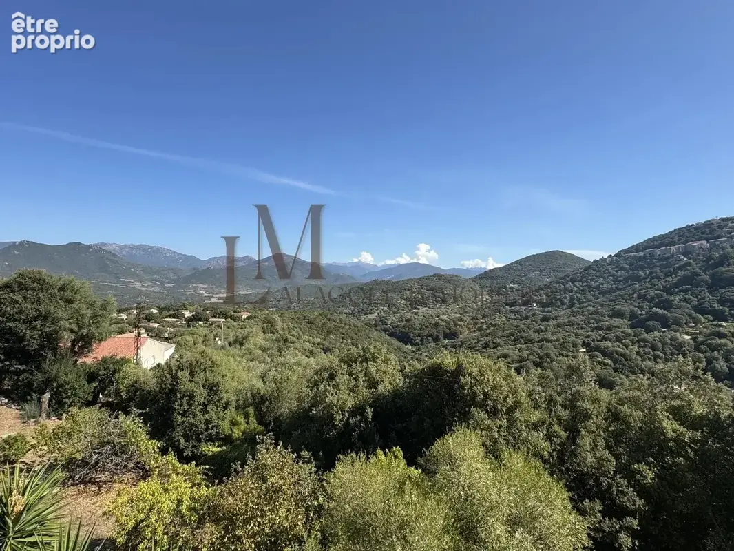 SARTENE - Ensemble immobilier T3 / T3 / T2 + Terrain constructible. - photo 2