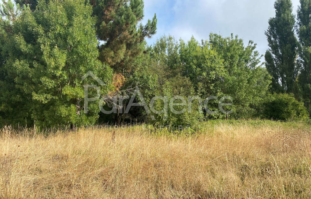 Terrain à SAINT-PALAIS-SUR-MER