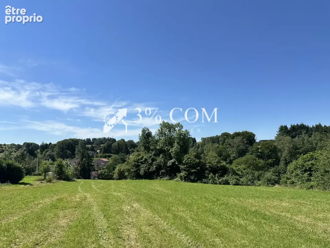 Terrain constructible de 6363 m2 sur la commune d'Uriménil - photo 9