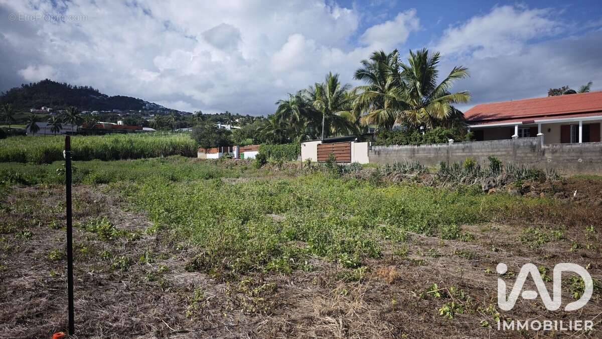 Terrain 471 m² à Petite-Ile  - photo 2