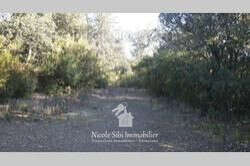 Terrain à MONTAURIOL