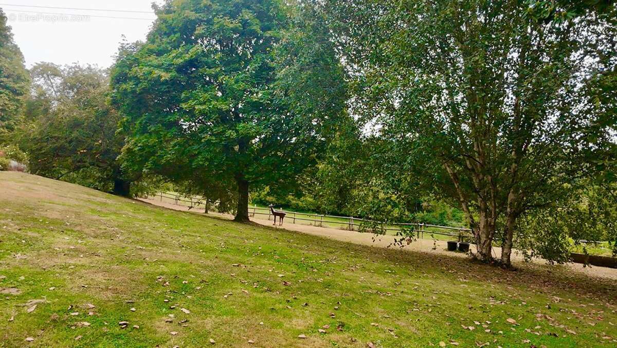 Maison à PONT-L'EVEQUE