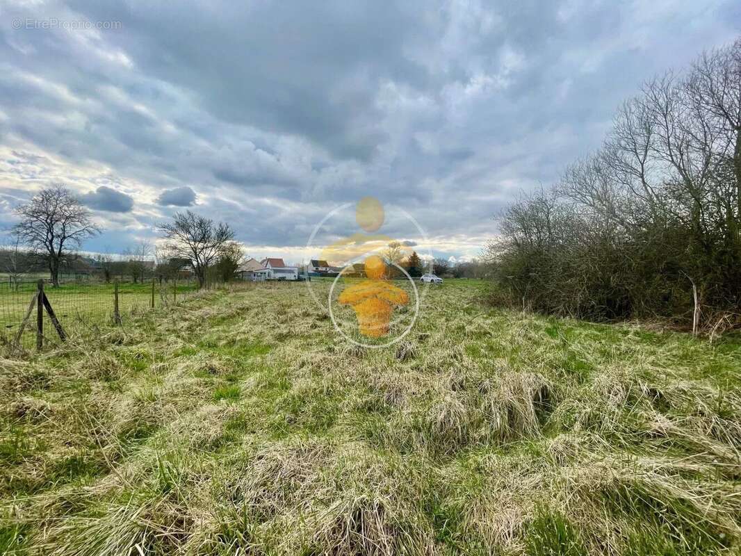 Terrain à TRAVECY