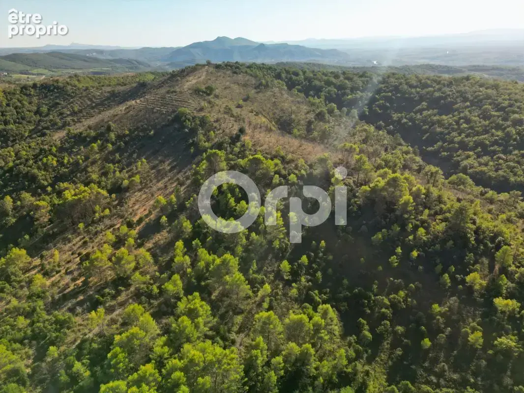 Terrain à LAGORCE