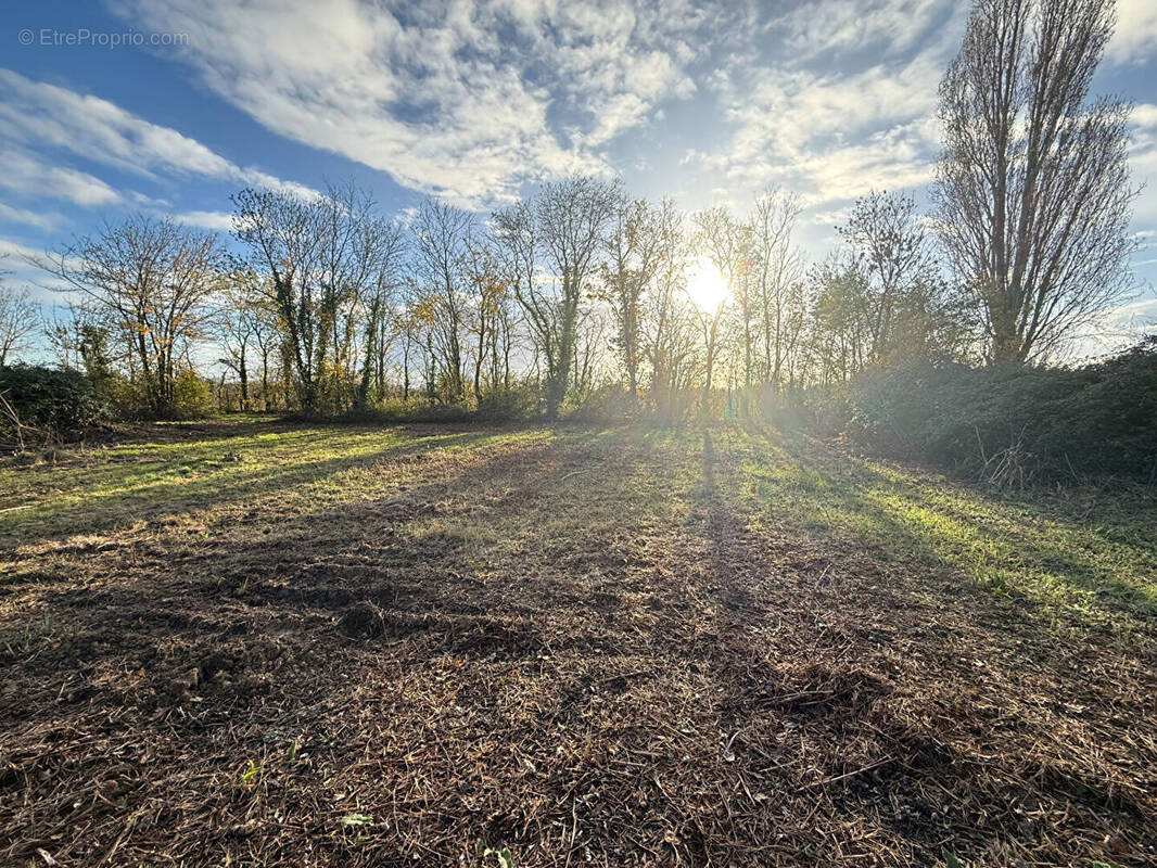 Terrain à BESSINES