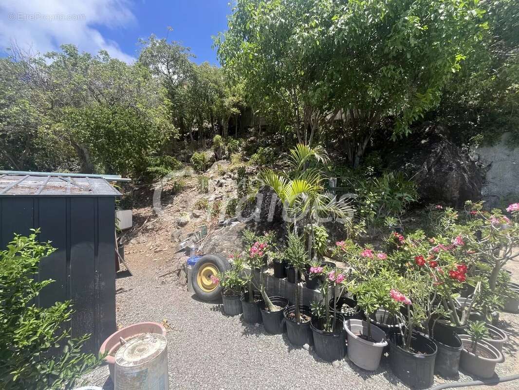 Maison à CAPESTERRE-BELLE-EAU