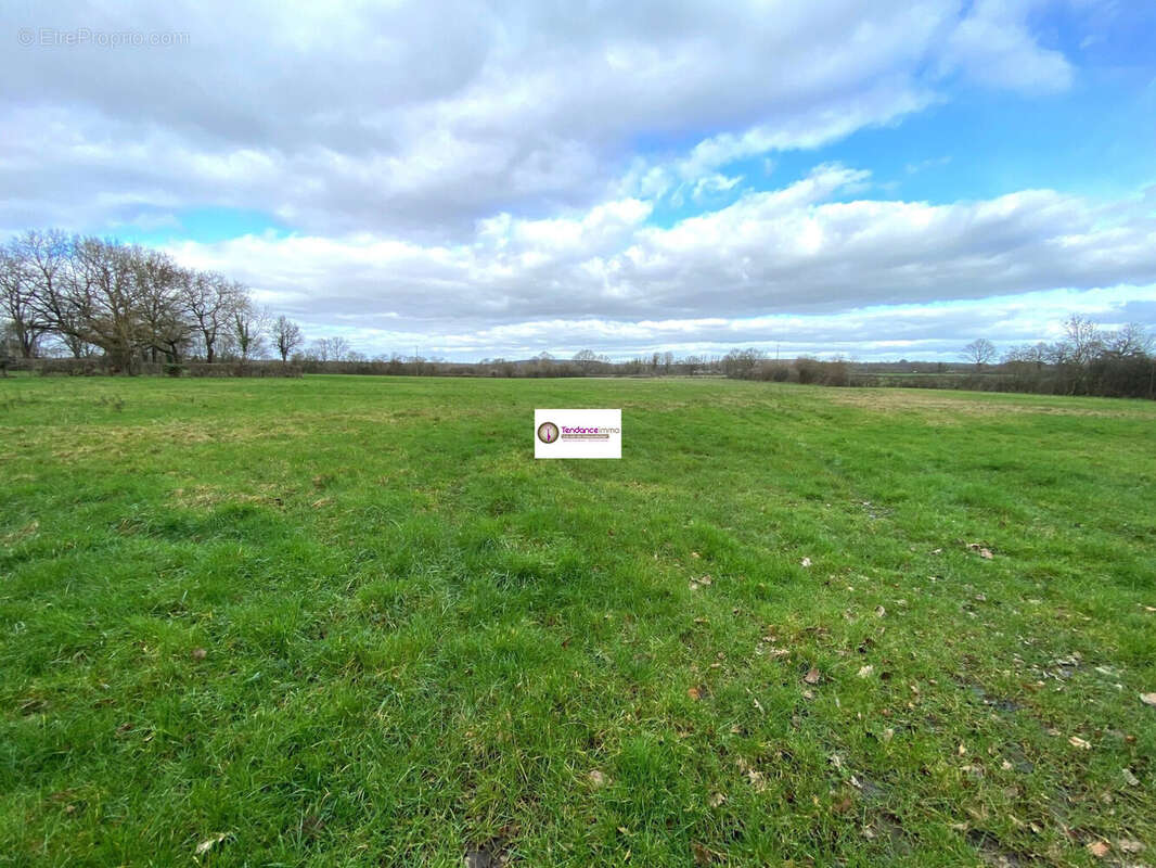 Terrain à LE MELE-SUR-SARTHE
