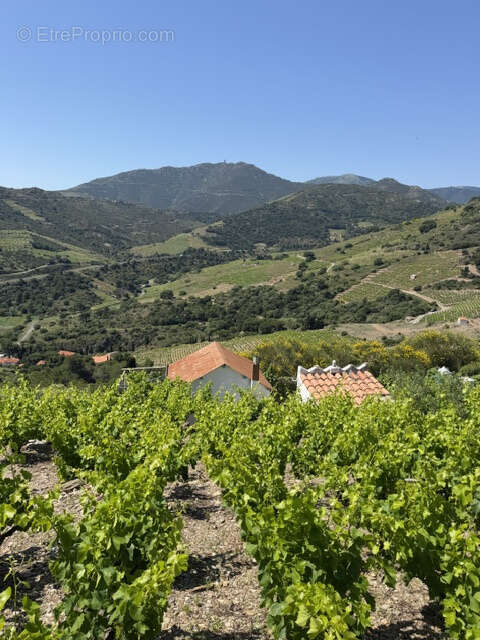 Terrain à COLLIOURE