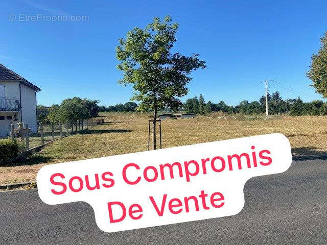 Terrain à MARINGUES