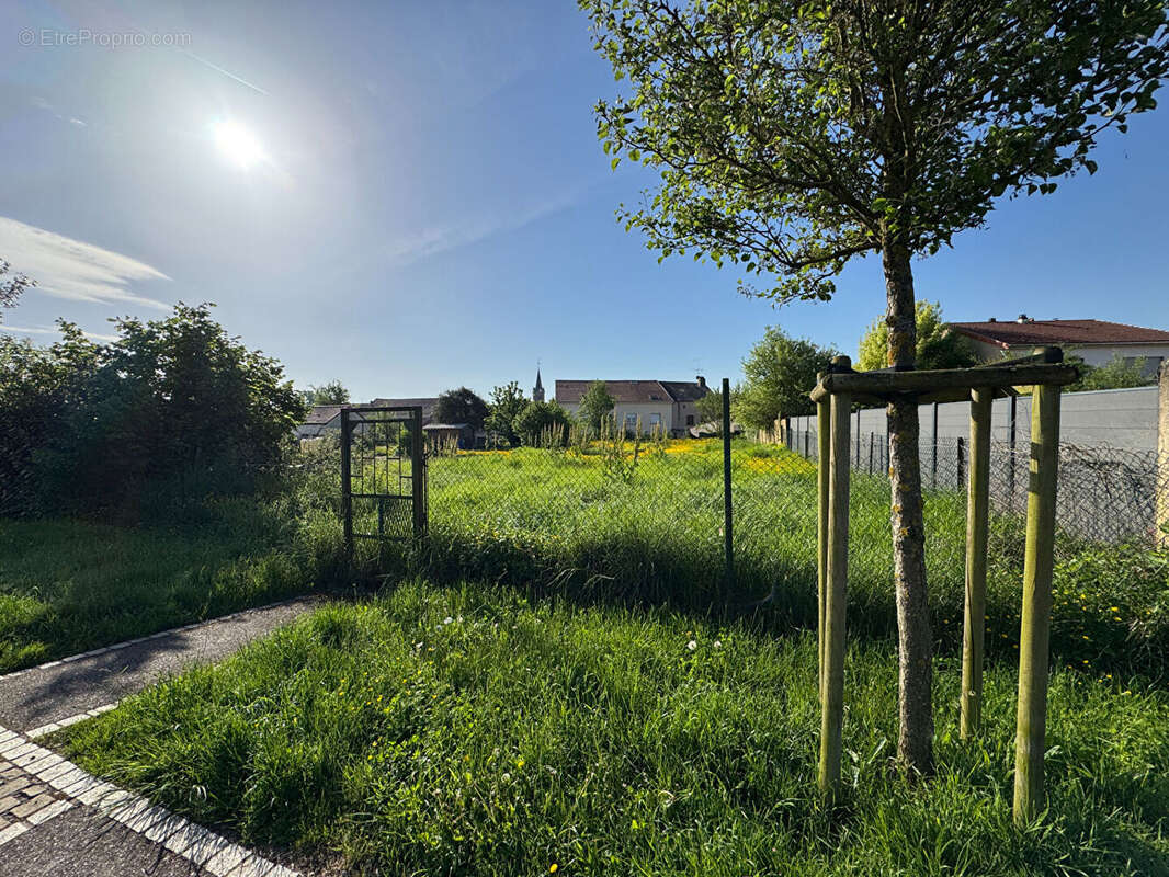 Terrain Cattenom (Sentzich) - photo 7