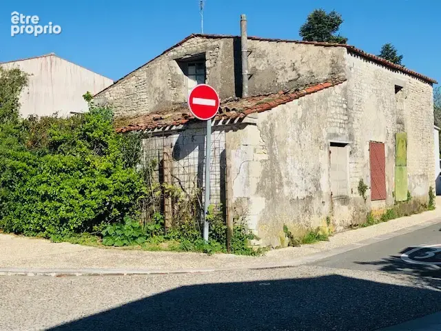 Bien atypique... - photo 3