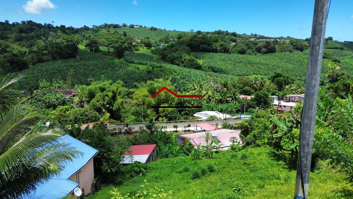 Terrain à SAINTE-MARIE