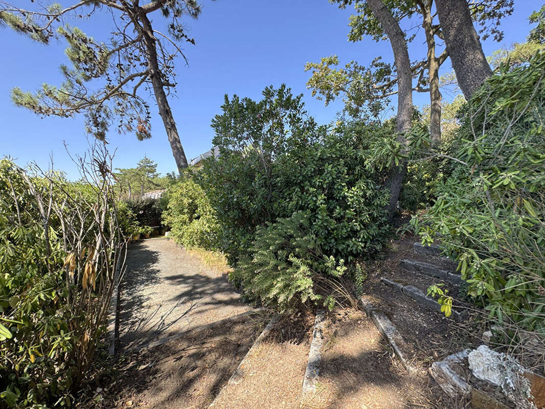 Villa vue mer à st georges 1ère ligne - photo 18