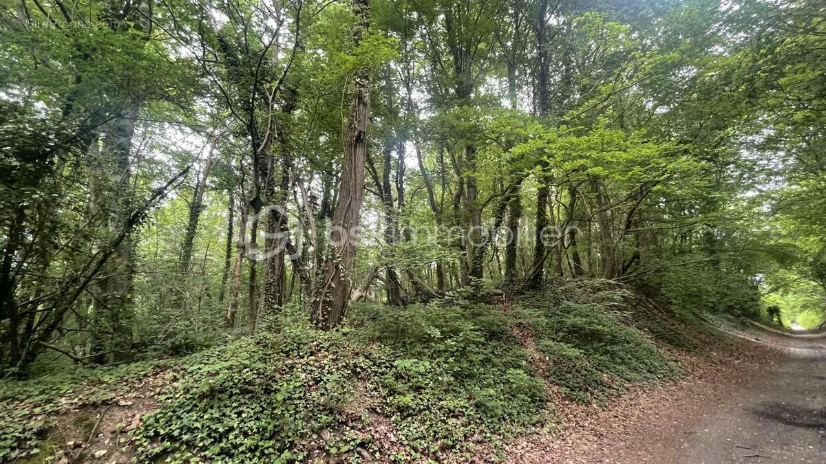 Terrain à ULLY-SAINT-GEORGES