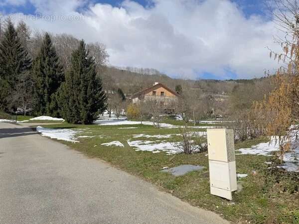 Terrain à SAINT-THEOFFREY