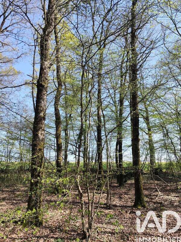 Photo 4 - Terrain à CHAMBEUGLE