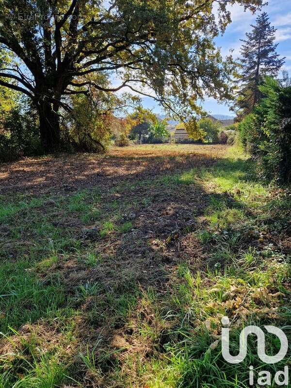 Photo 3 - Terrain à TERRASSON-LAVILLEDIEU
