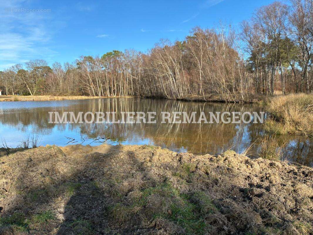 Maison à LAMOTTE-BEUVRON