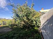 Terrain à LE TAMPON