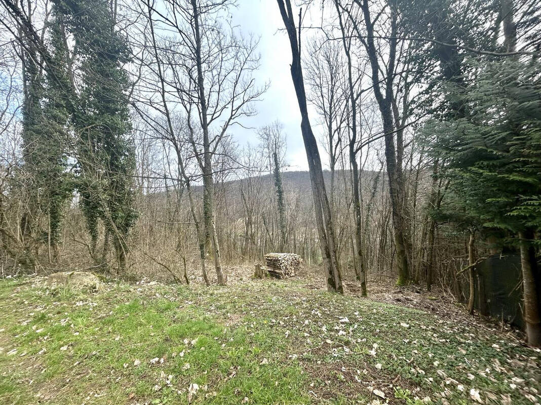 Terrain à CHALEZEULE