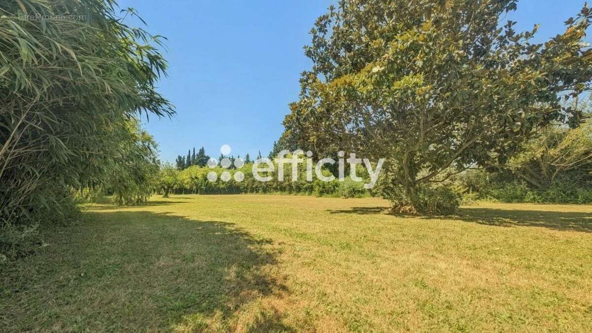 Maison située en campagne - photo 13