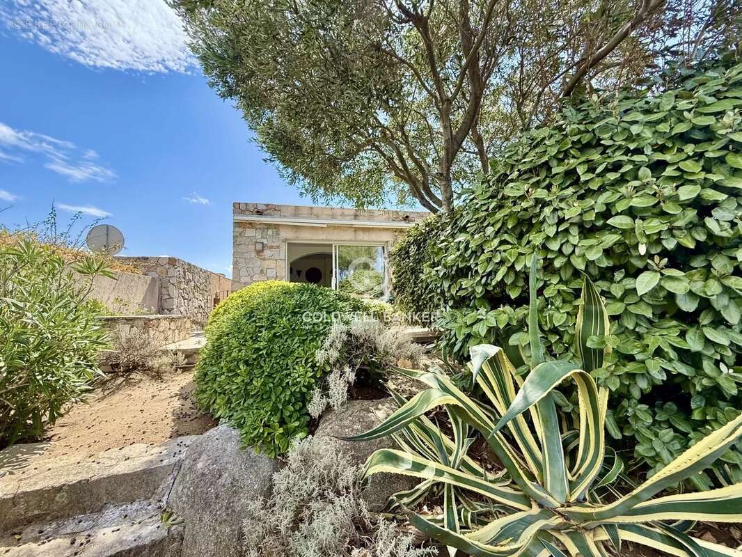 Appartement à LUMIO