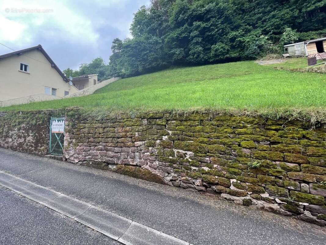 Terrain à WALSCHEID