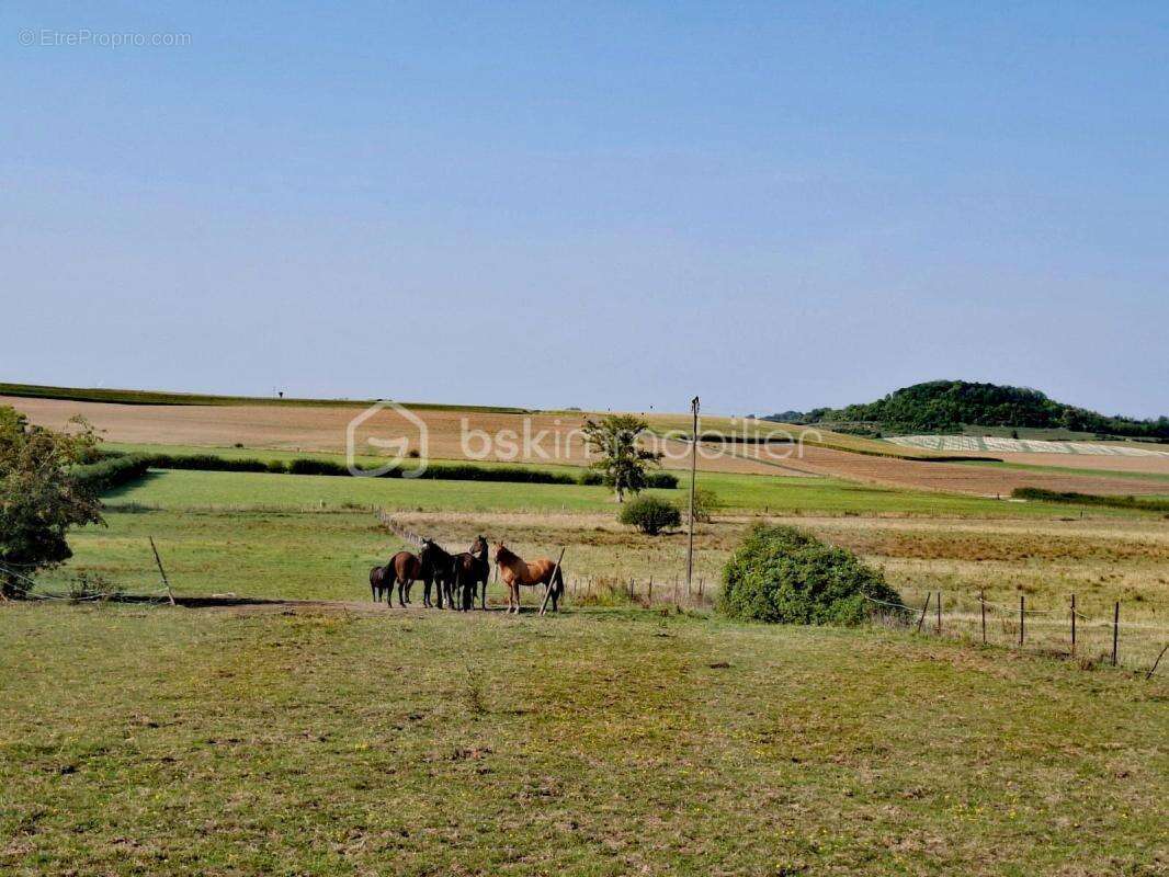 Maison à NOVION-PORCIEN