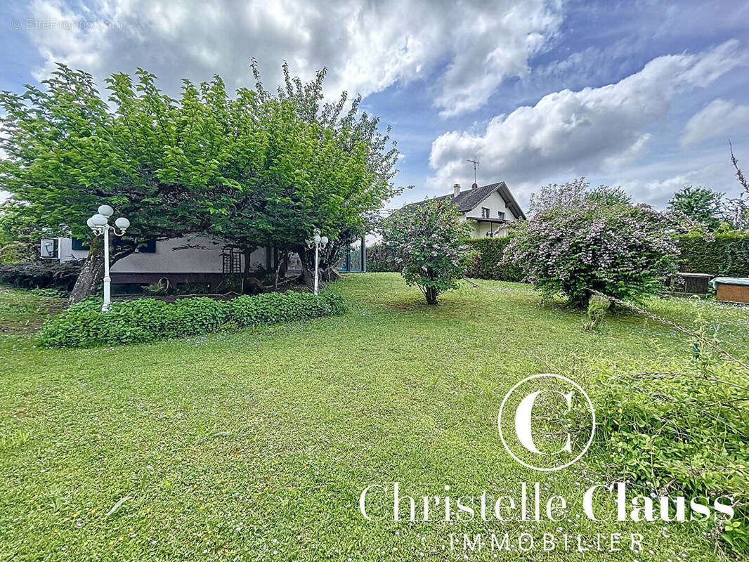 Maison à ZAESSINGUE