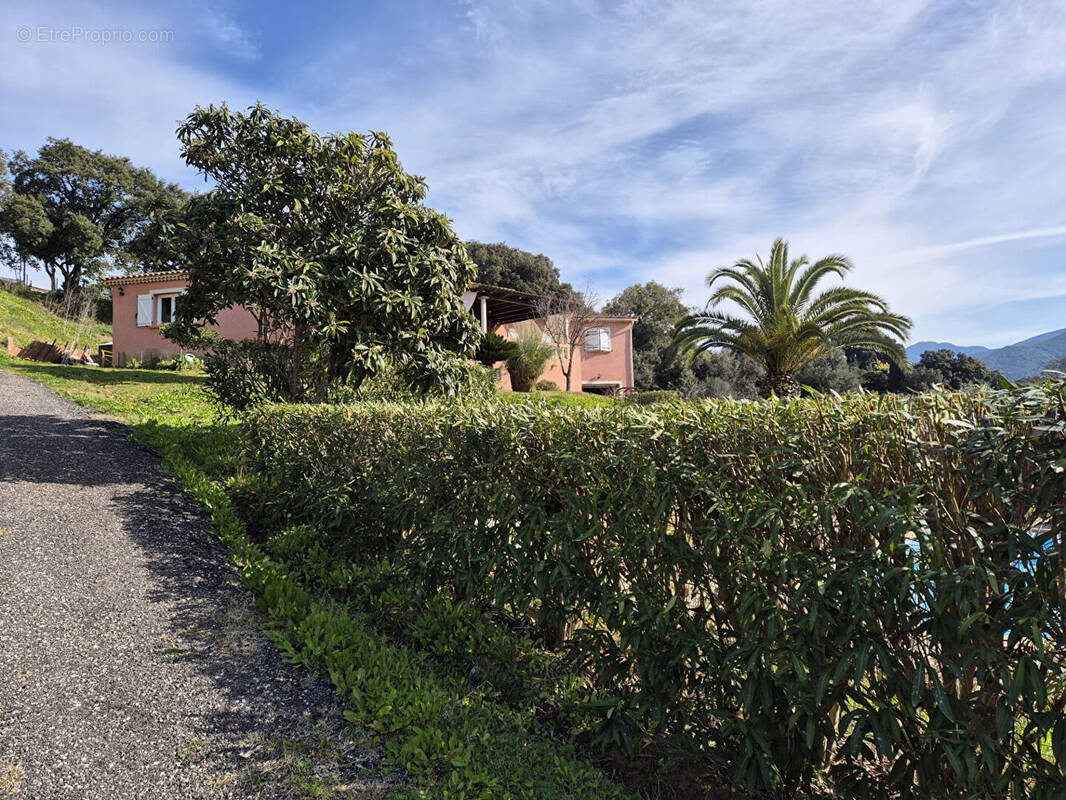 Maison à ECCICA-SUARELLA