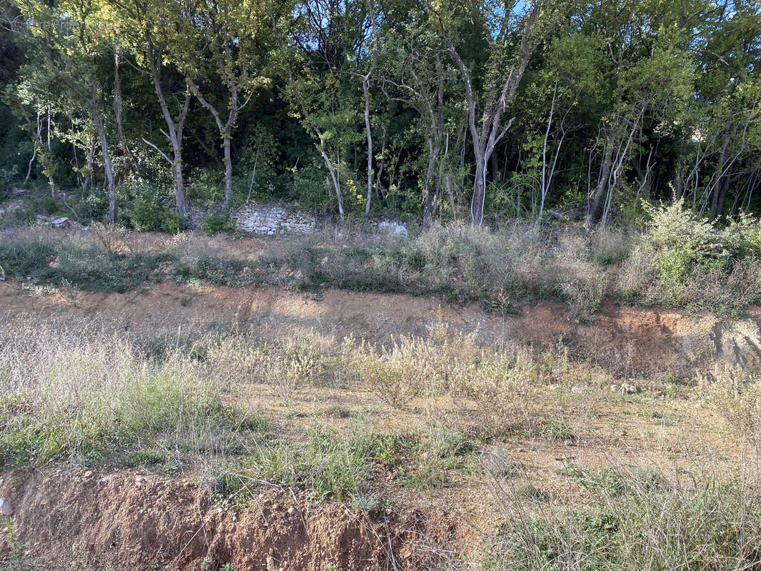 Terrain à CLERMONT-L&#039;HERAULT