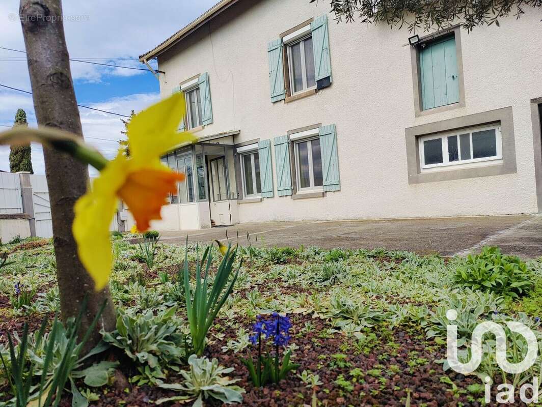 Photo 2 - Maison à SAINT-CLAIR-DU-RHONE