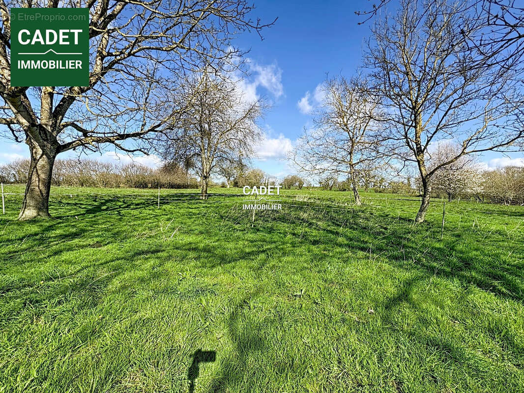 Maison à CHAMPREPUS