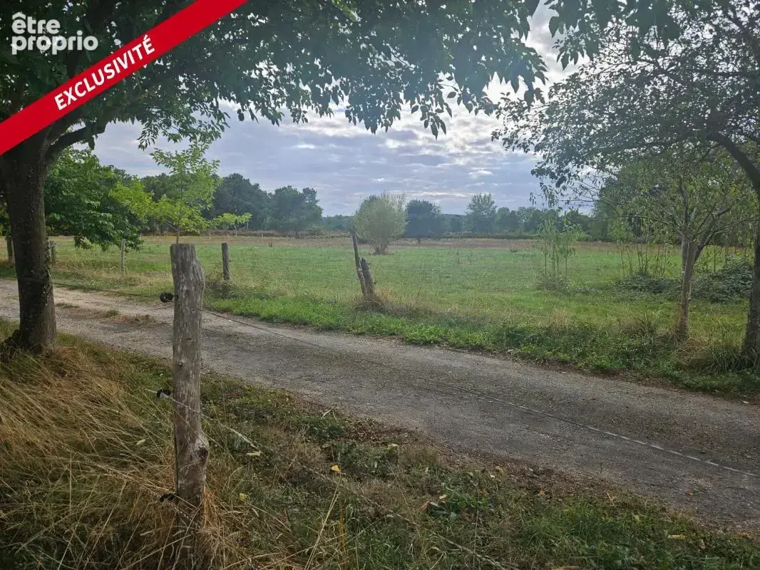 Maison atypique sur un terrain de 2 ha 19a 33ca - photo 17