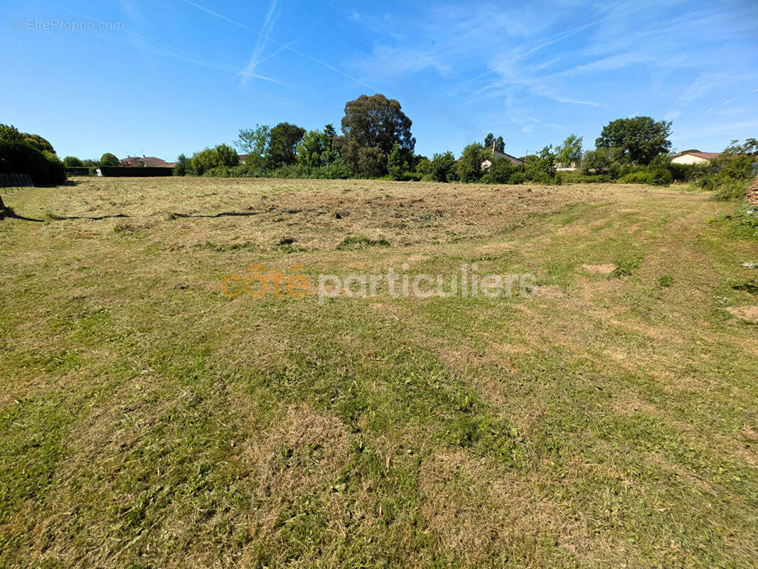 Terrain à MONTAUBAN