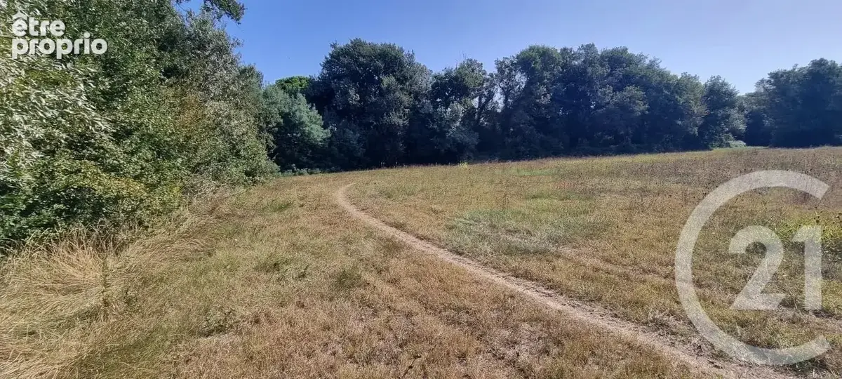 Terrain 6 305 m² à vendre à Argeles-Sur-Mer (66700) - photo 2