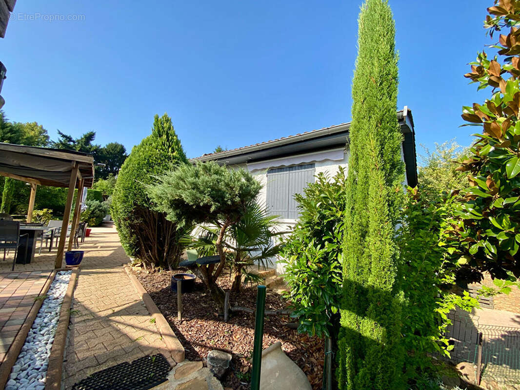 Maison à COLLONGES-AU-MONT-D'OR