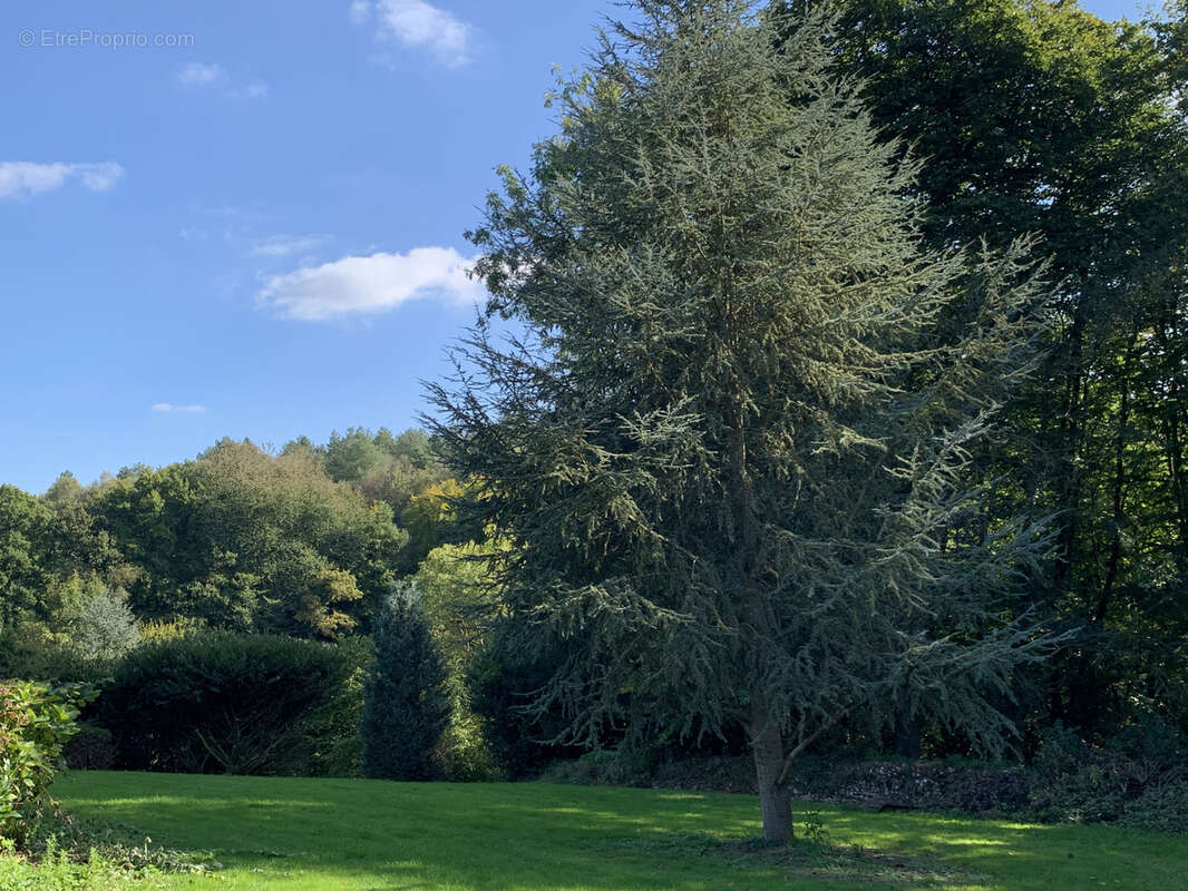 Maison à LE BREVEDENT