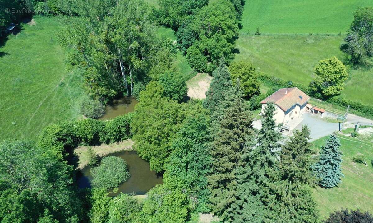 Maison à VIOLAY