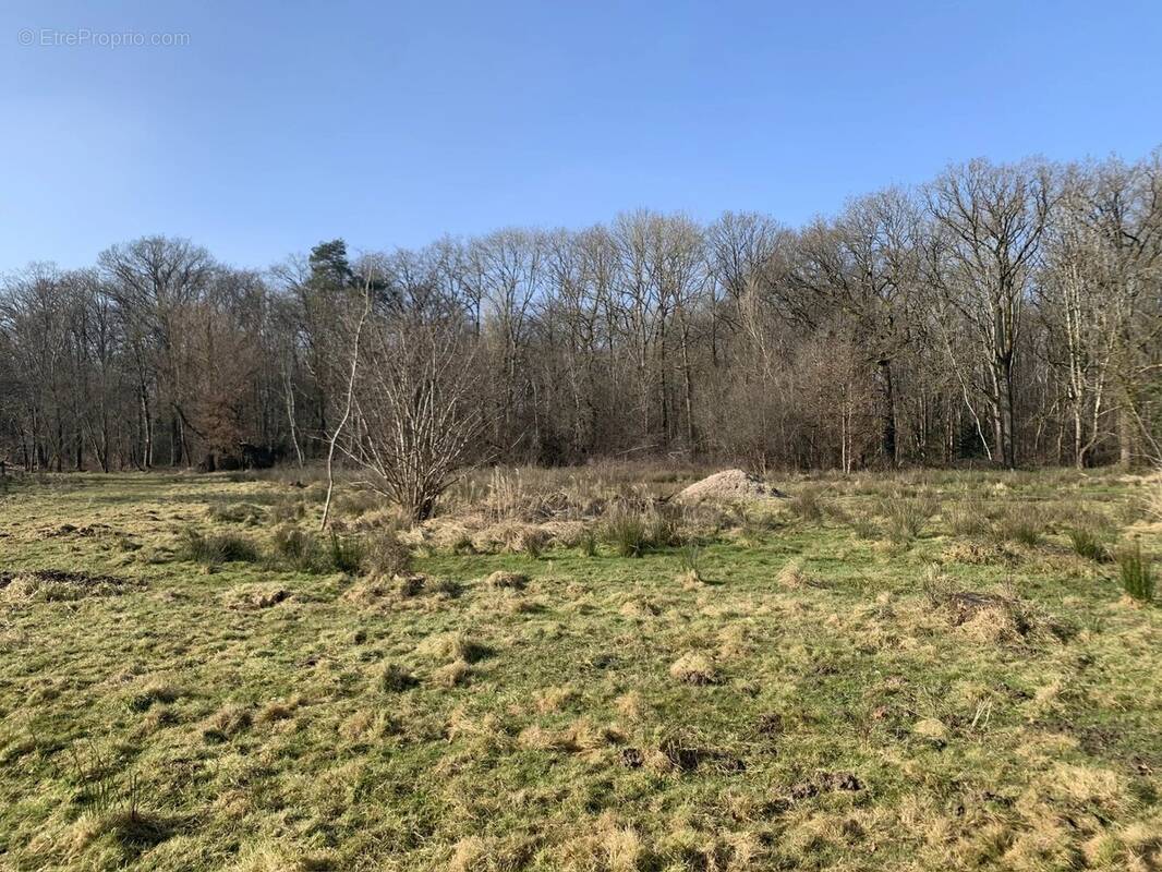 Terrain à VIEILLE-EGLISE-EN-YVELINES
