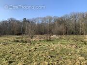 Terrain à VIEILLE-EGLISE-EN-YVELINES