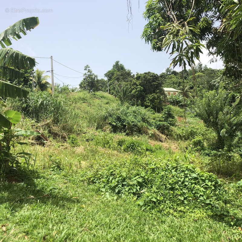 Terrain à LE FRANCOIS