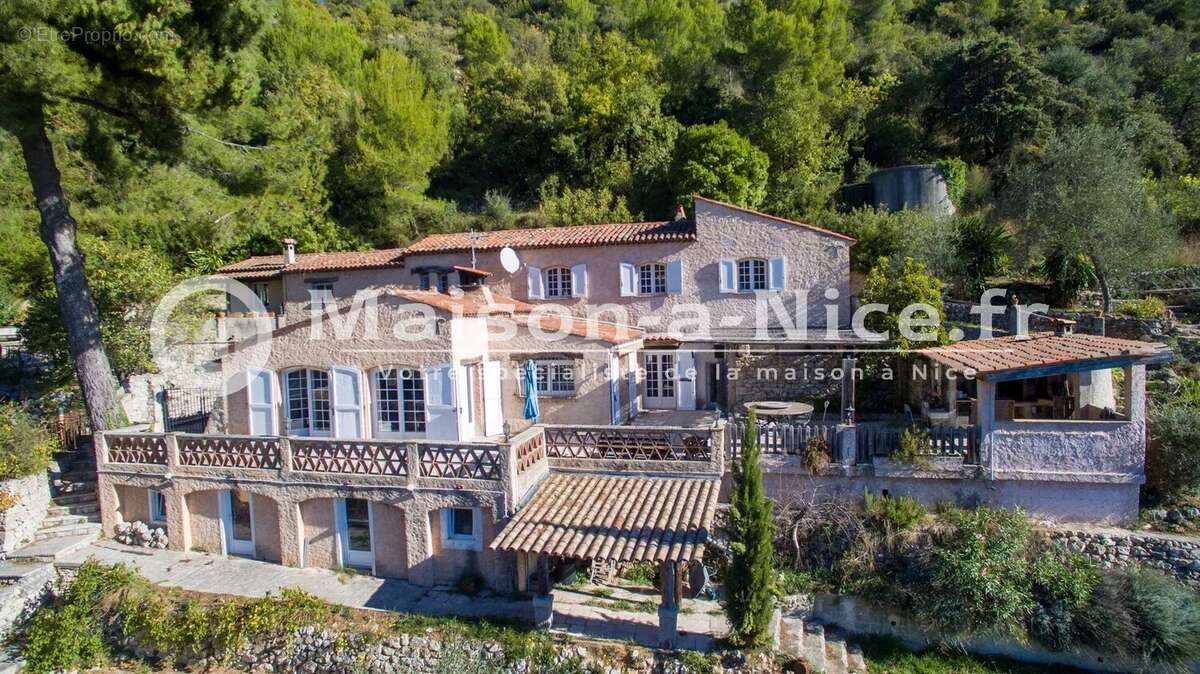 Maison à FALICON